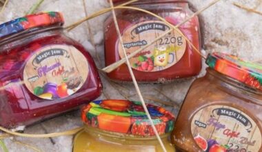 Magic Jam www.magic-jam-fruchtaufstriche.de_20260111_121549_0000